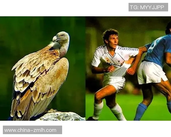 足球球星背后代表号的故事与象征意义探析